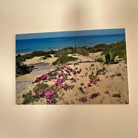 La Lestra Agroturismo *